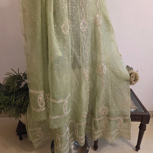 Kali - Pure Organza Anarkali (New)