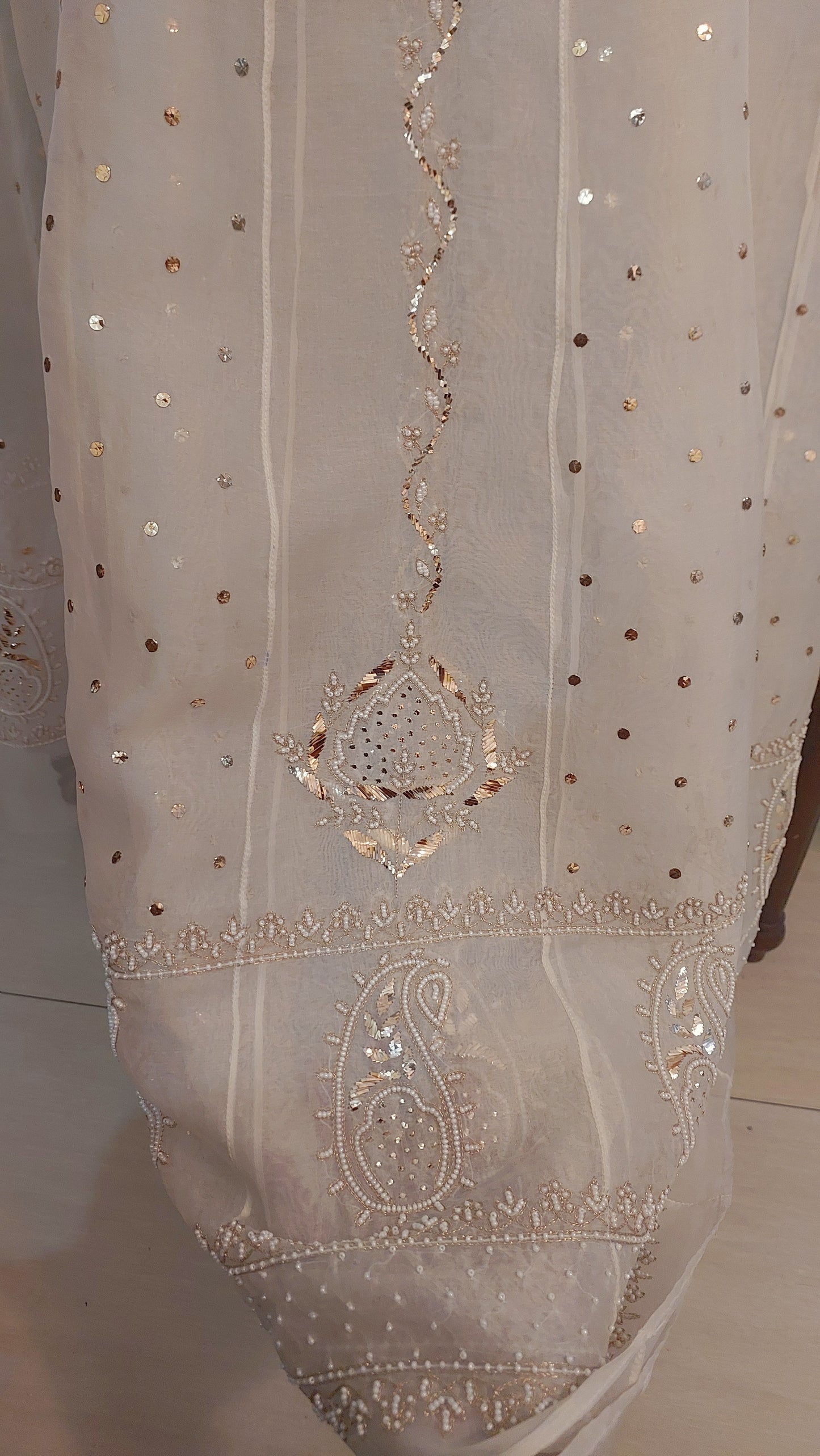 Kali - Pure Organza Anarkali (New)