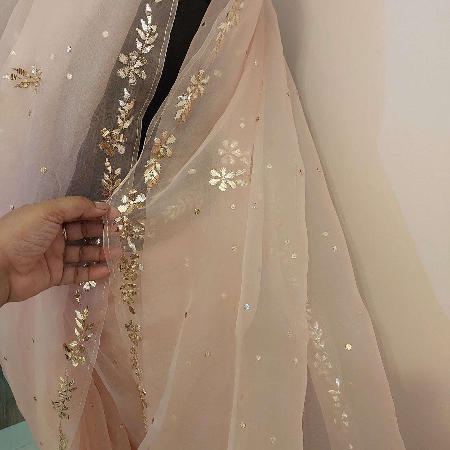 Madhumalti ~ Pure Organza Mukaish Saree